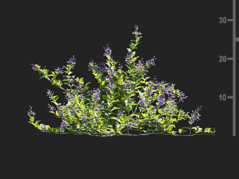 Maxtree - Plant Models Vol.112