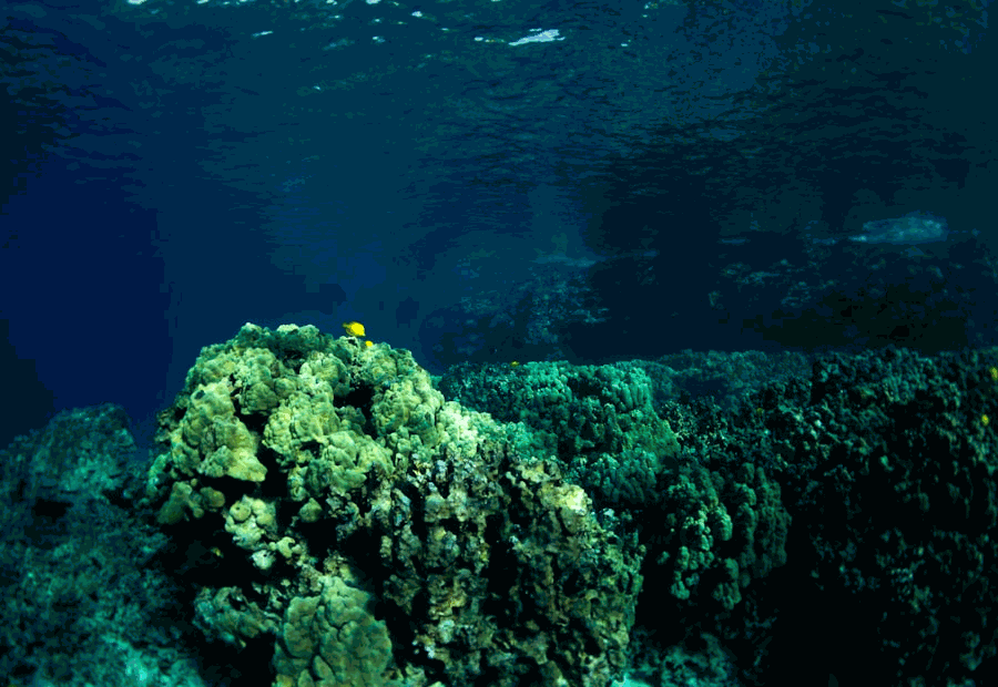 Five-image ocean research carousel