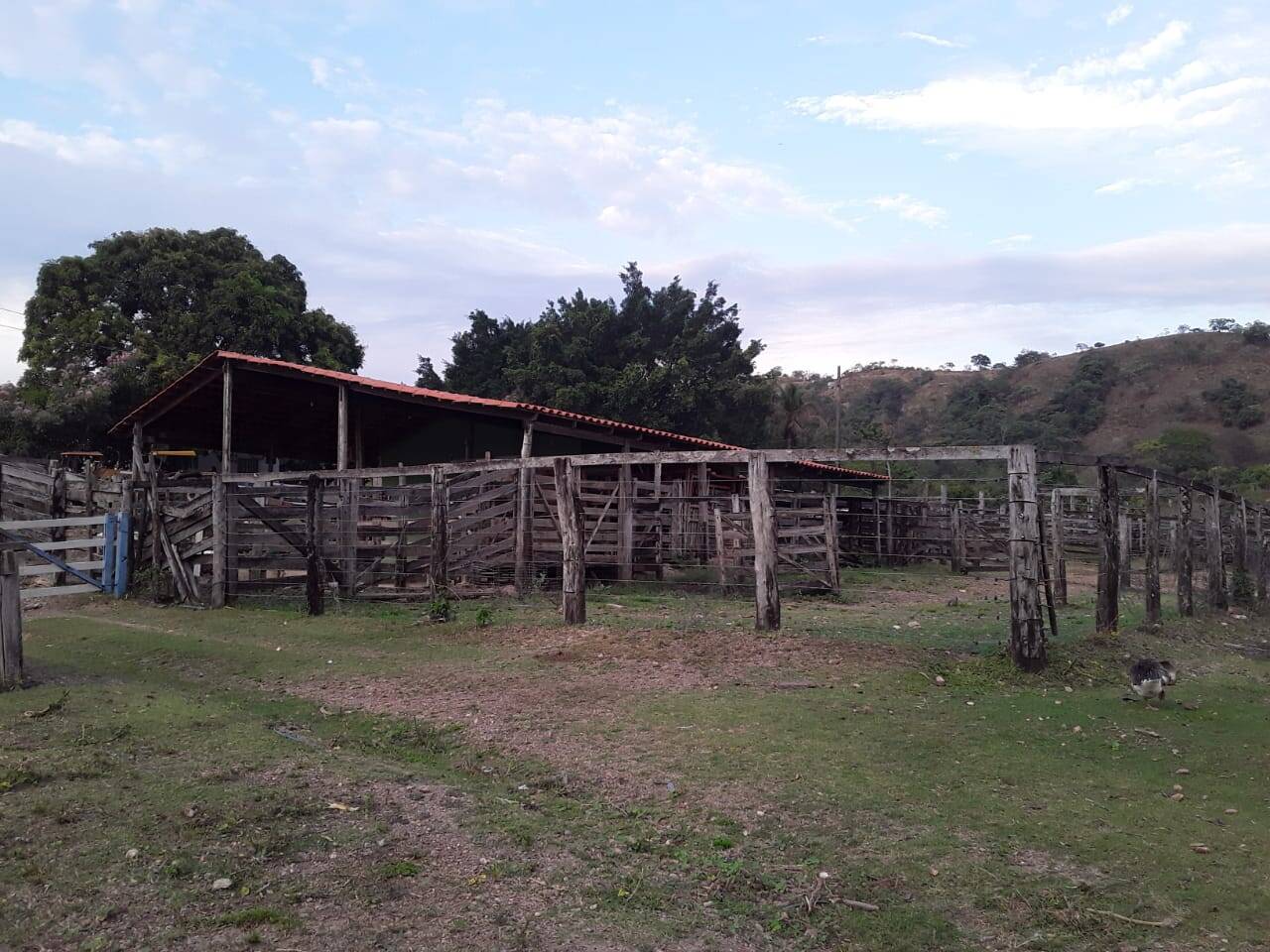 Fazenda em Cocalzinho de Goiás - GO 7