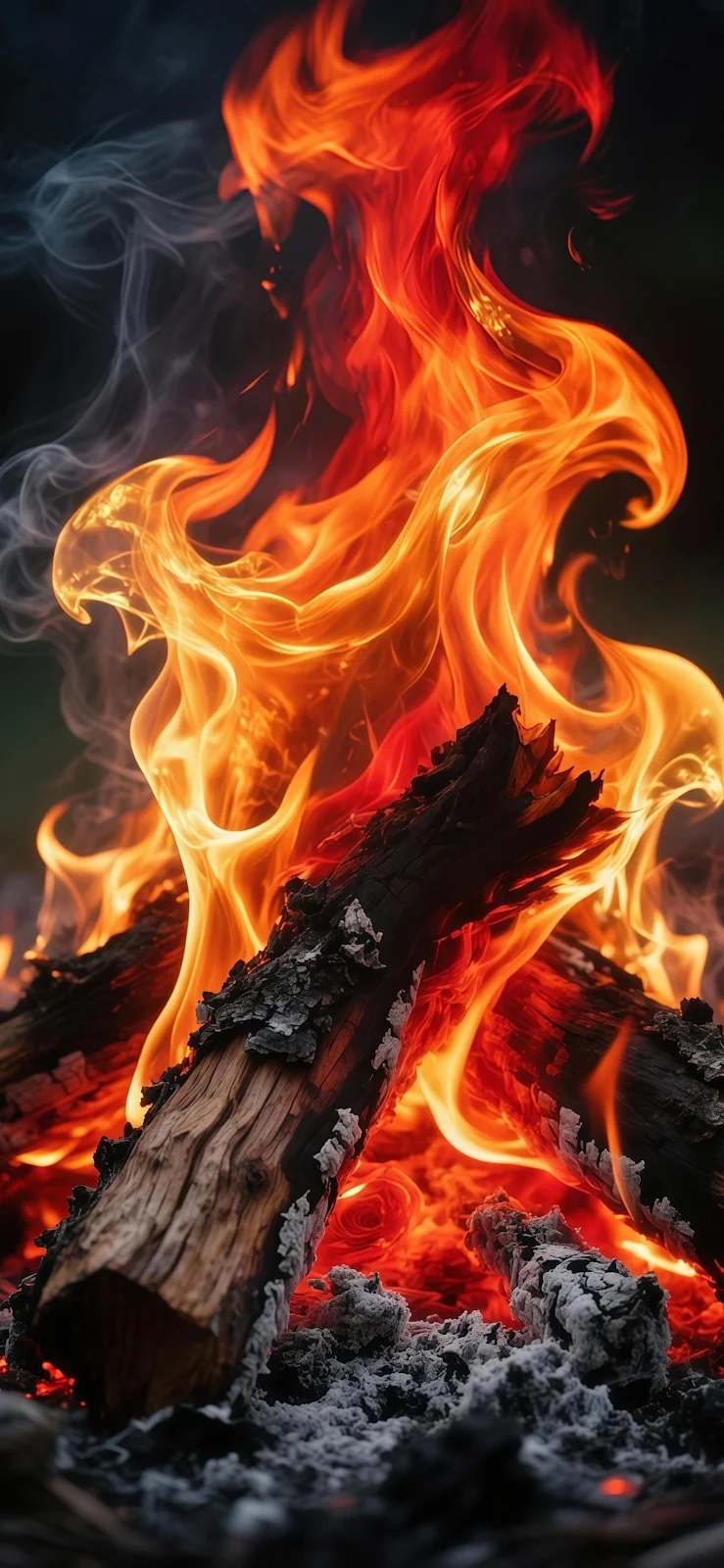 Glowing Campfire With Burning Logs - Nature Photography 2K iPhone Wallpaper (1570x3401)