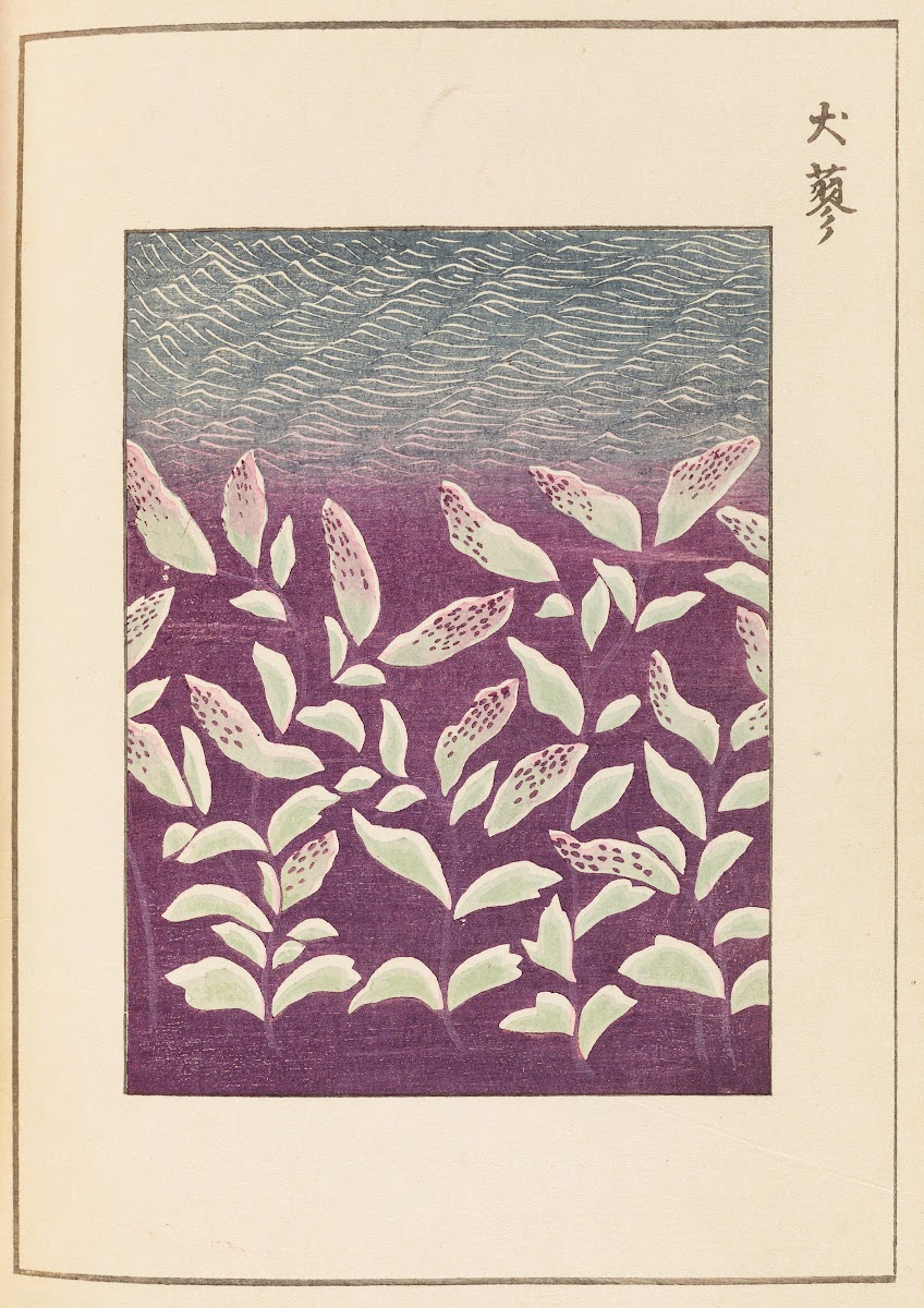 Shin Bijutsukai Pl360 1901 1902