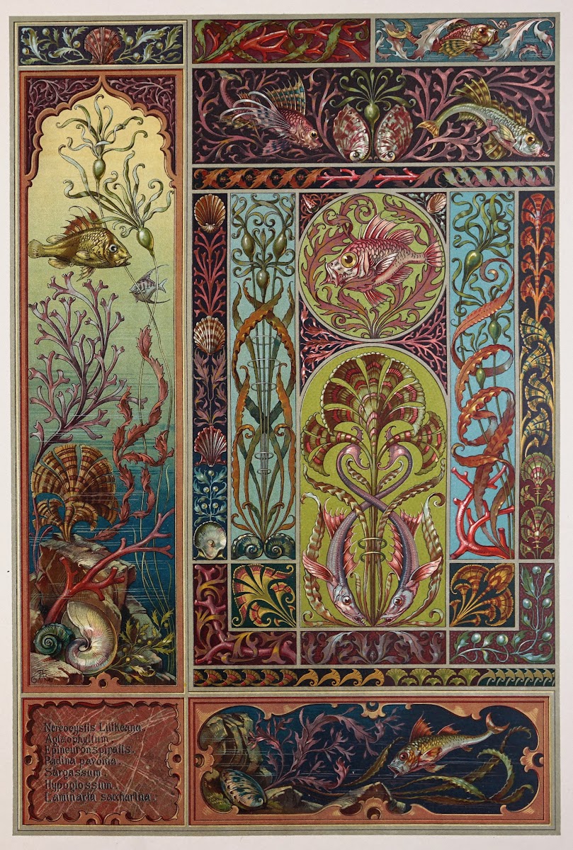 Die Pflanze in Kunst und Gewerbe Pl014 1886