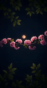 Pink Cherry Blossoms Branch Under Full Moon at Night