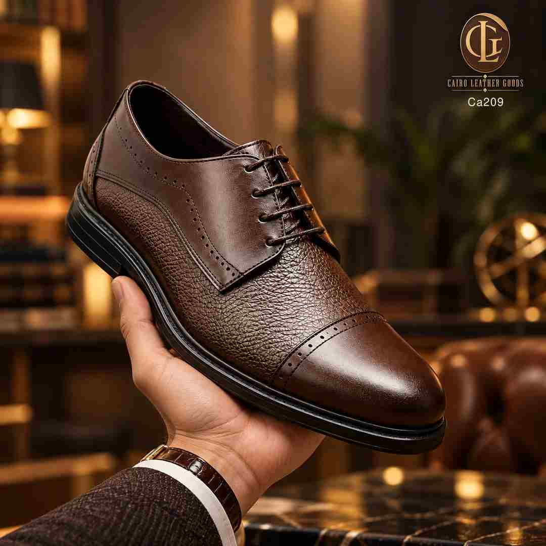 Ca209 08 Ca209 brown cinematic.jpg