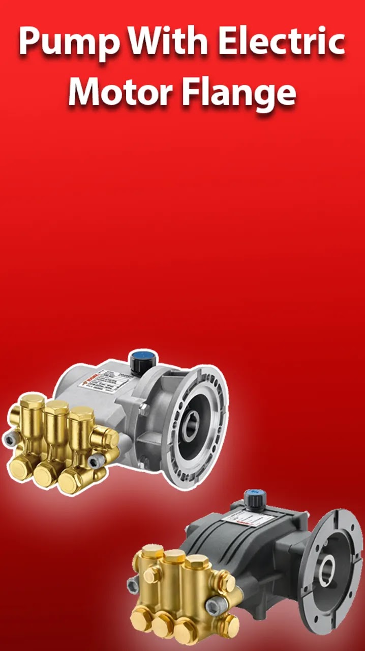 Pump With Electric Motor Flange