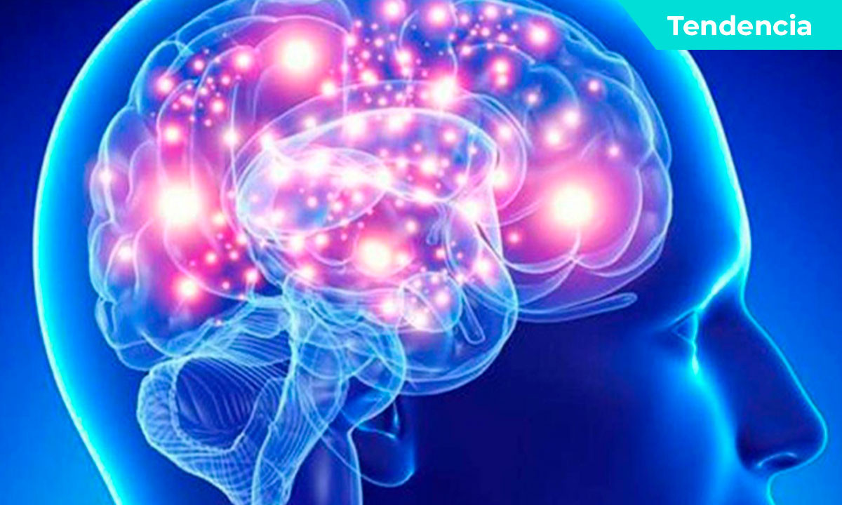 El Poder de la Mente Subconsciente: La Clave para Transformar tu Realidad