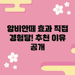 암비안떼 효과, 암비안떼 추천, 2023 수면 리듬, 불면증 해결, 자연 수면 보조제