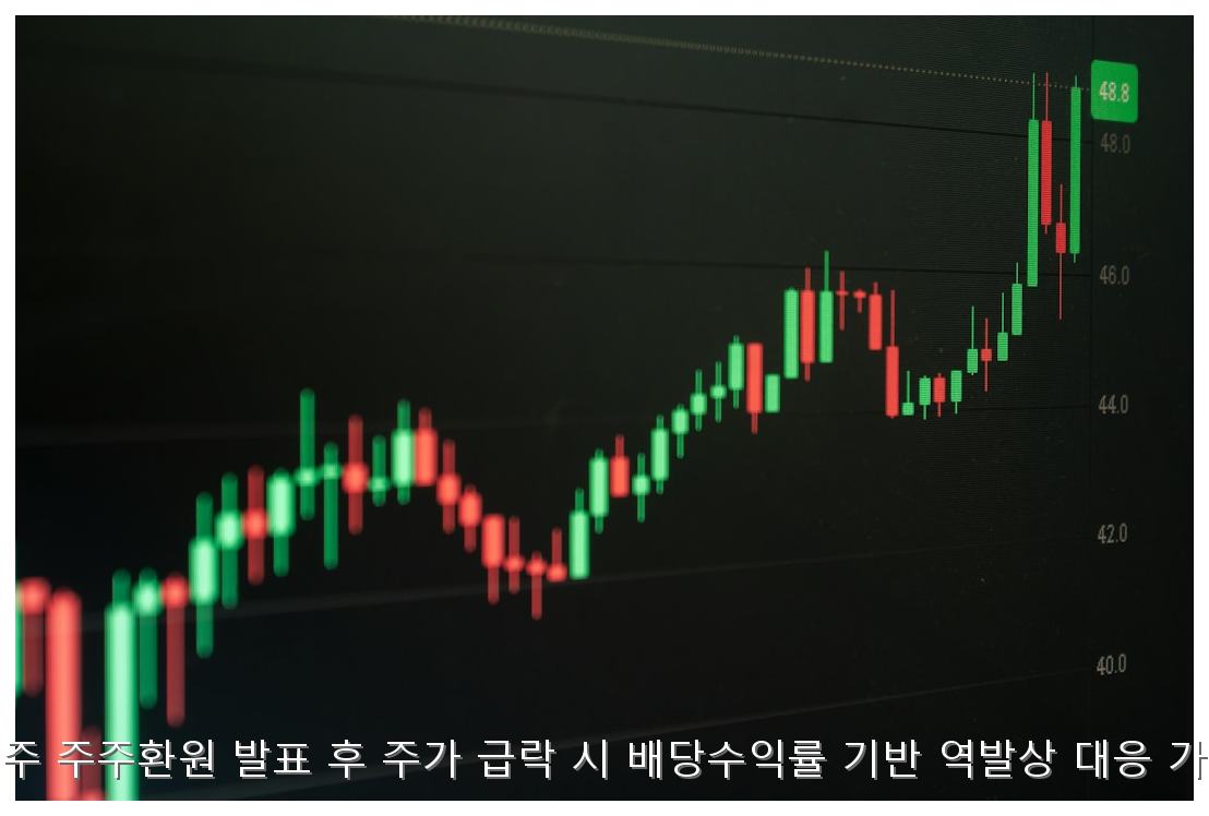 대형주 주주환원 발표 후 주가 급락 시 배당수익률 기반 역발상 대응 가이드 핵심 안내 및 분석 인포그래픽 (4)