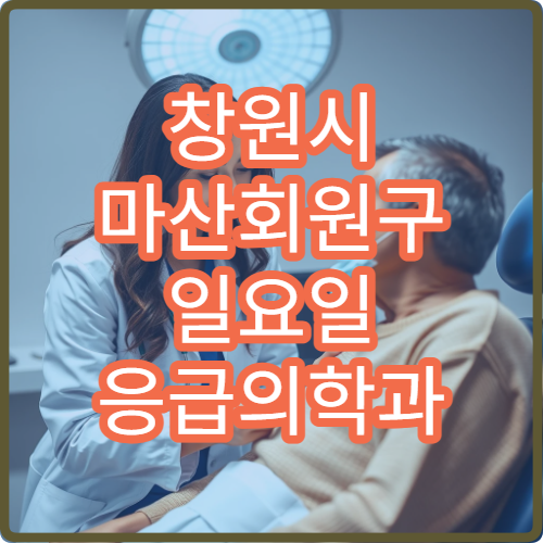 창원시 마산회원구 일요일 응급의학과 진료 병원 응급진료 가능