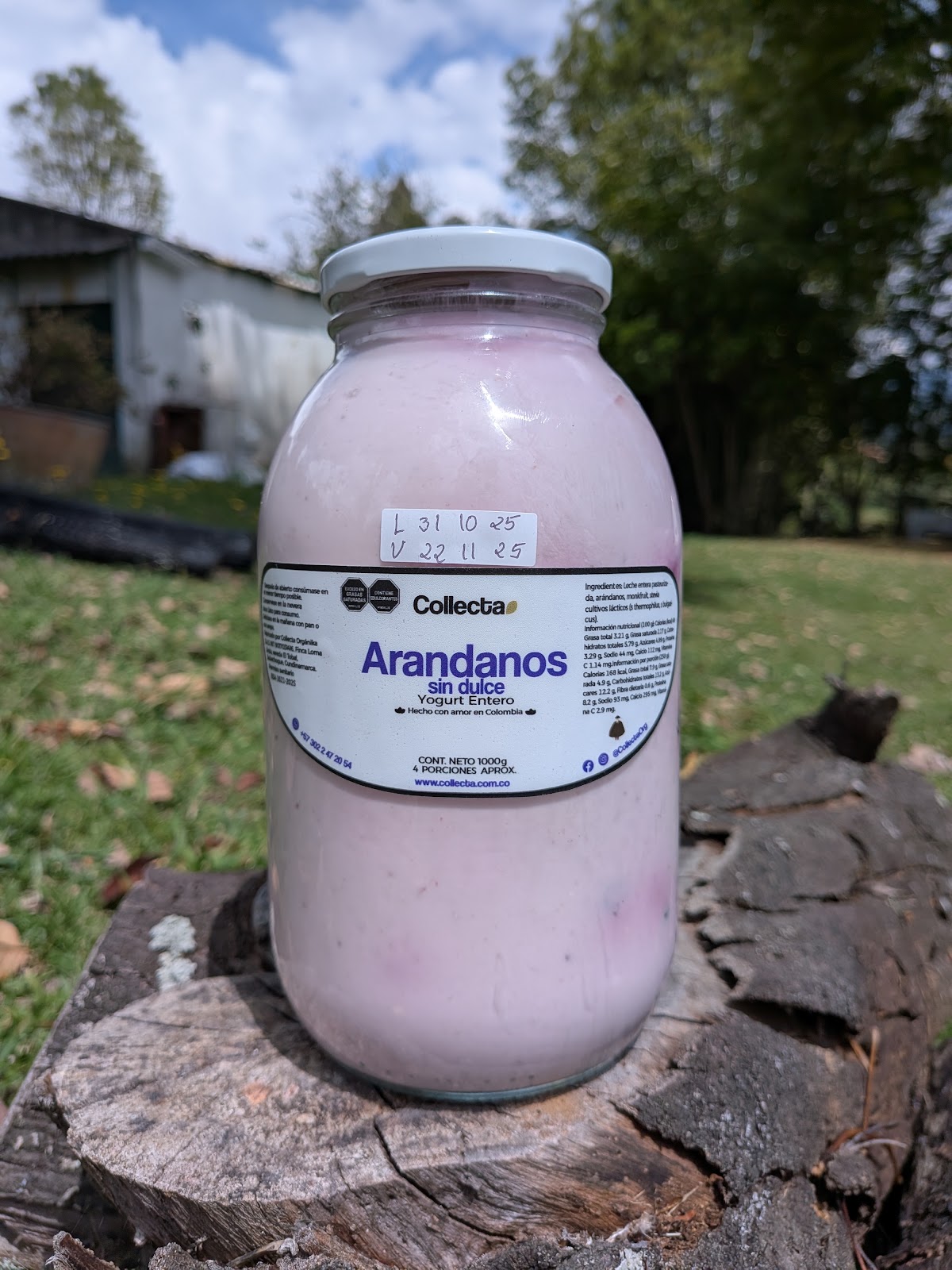 Comprar yogurt arandanos sin azucar lt orgánico