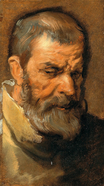 Head Of A Bearded Man