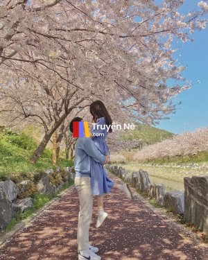 Mệnh Số Tương Hợp Hay Định Mệnh Nào Đang Chờ