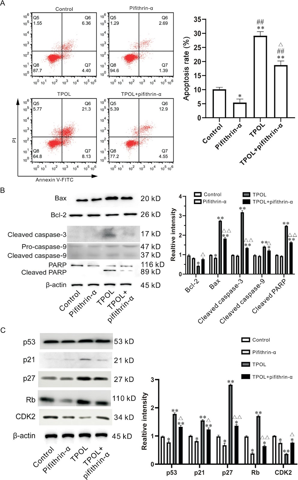 TPOL triggers apoptosis with mitochondrial injury through activating a ROS-dependent p53/p21/p27/Rb/Bax/Cyto C/caspase-mediated signaling