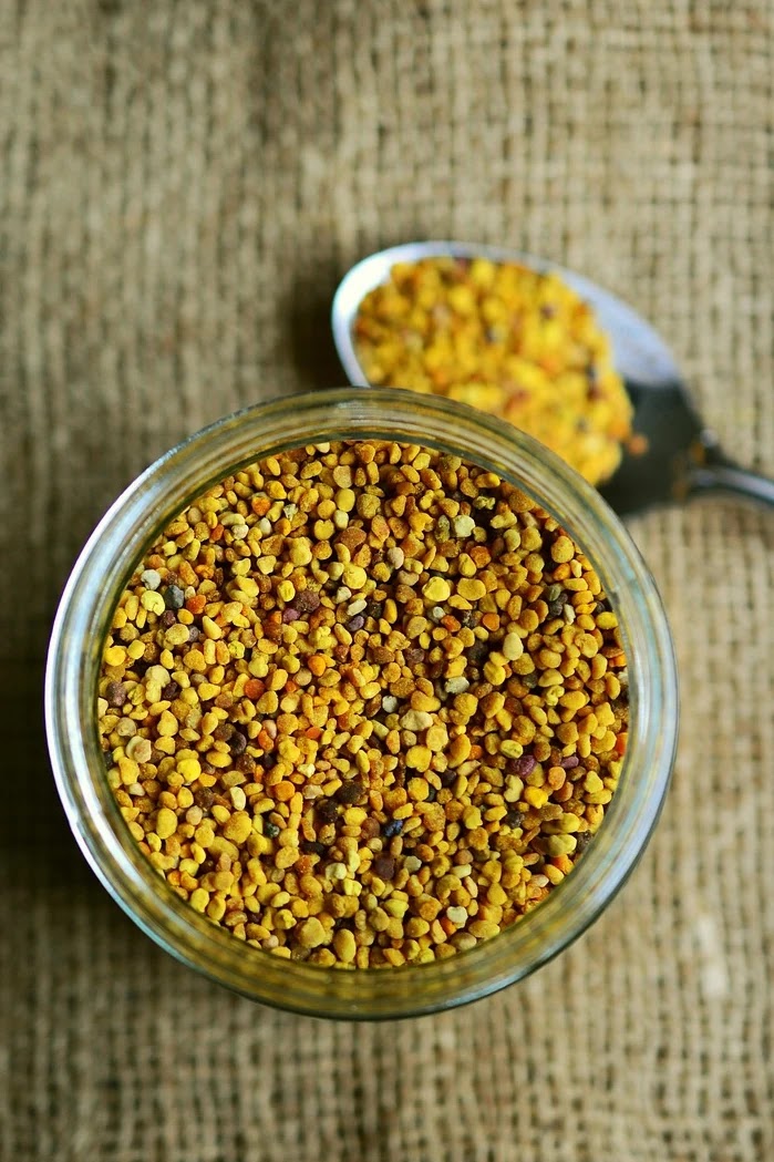 건강기능식품 성분 비교 기준과 선택법