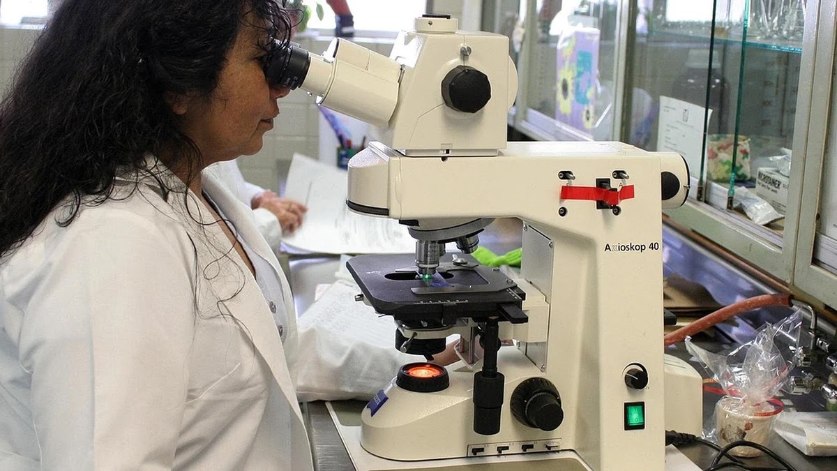 간 기능 검사 항목별 수치 의미와 이상 시 신체 변화 해석