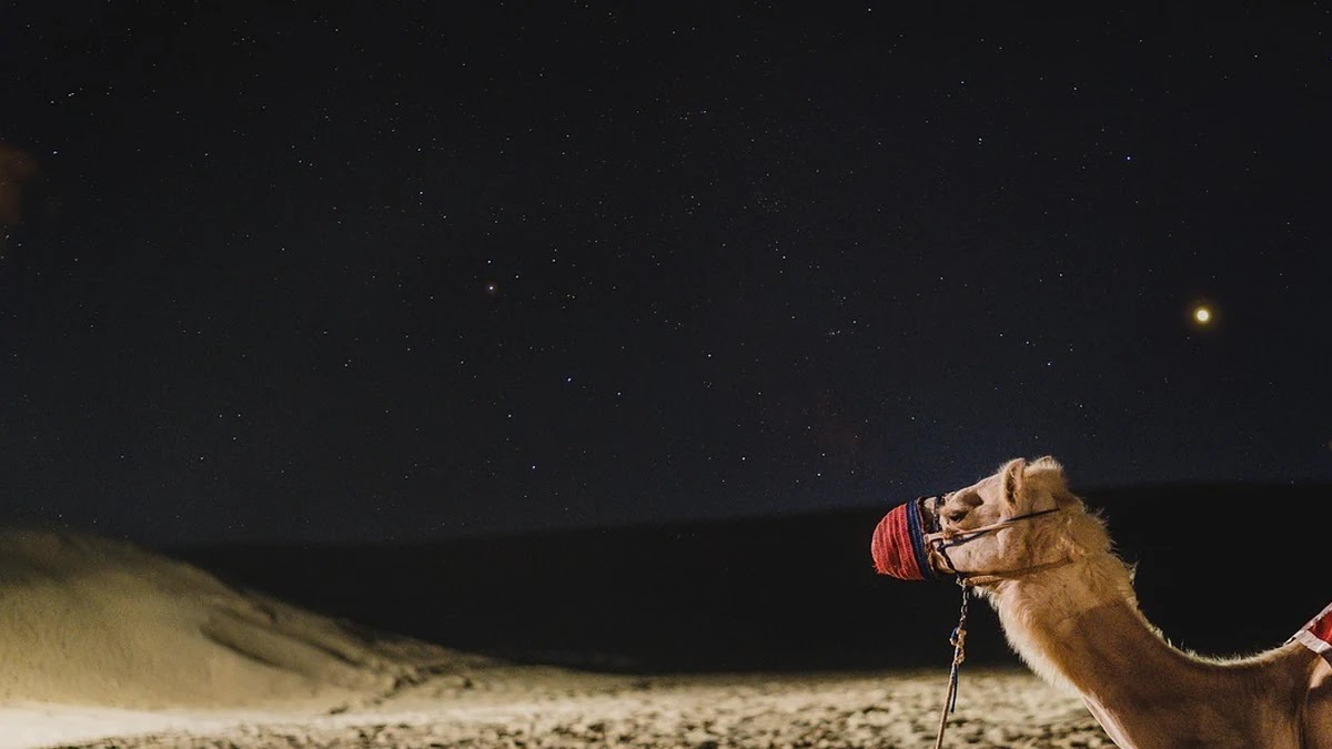 아이폰과 갤럭시 스마트폰 보안 설정 비교와 추천 방법