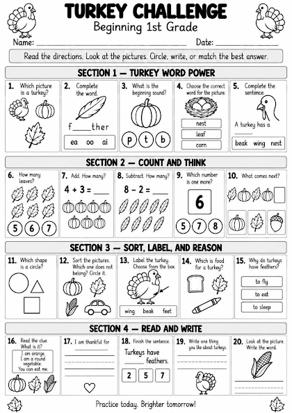 Turkey Challenge Worksheet