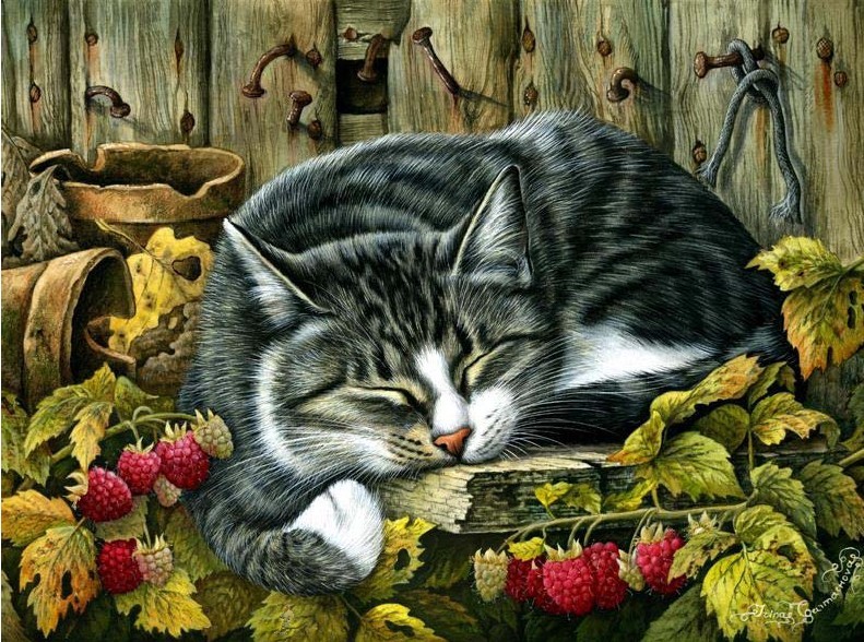HAE DW108 Autumn Siesta