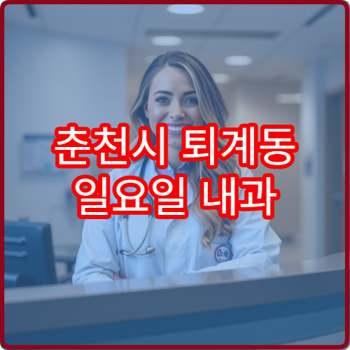 춘천시 퇴계동 일요일 내과 진료 병원 운영 정보