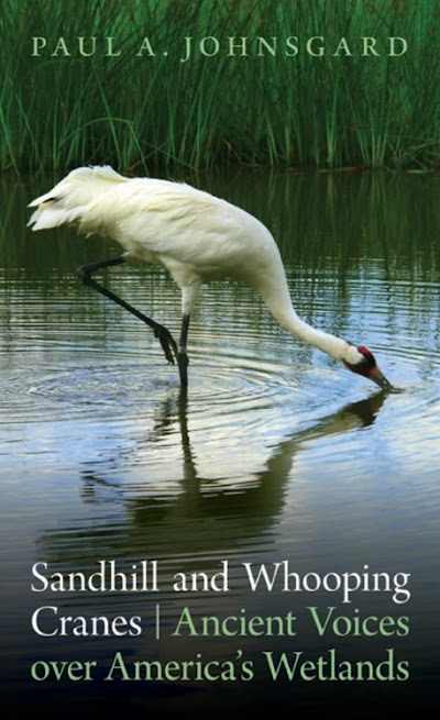 Sandhill and Whooping Cranes- Ancient Voices over America's Wetlands