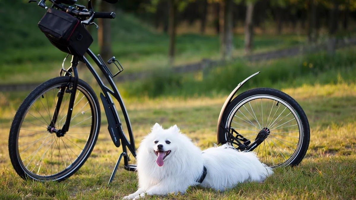 애착 유형별 갈등 원인과 해결 방식 차이