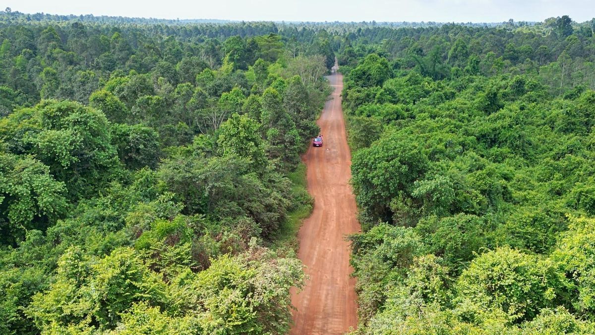 Hiện trạng tuyến đường xuyên rừng trước khi khởi công 13km cầu cạn trên cao - Báo VietnamNet