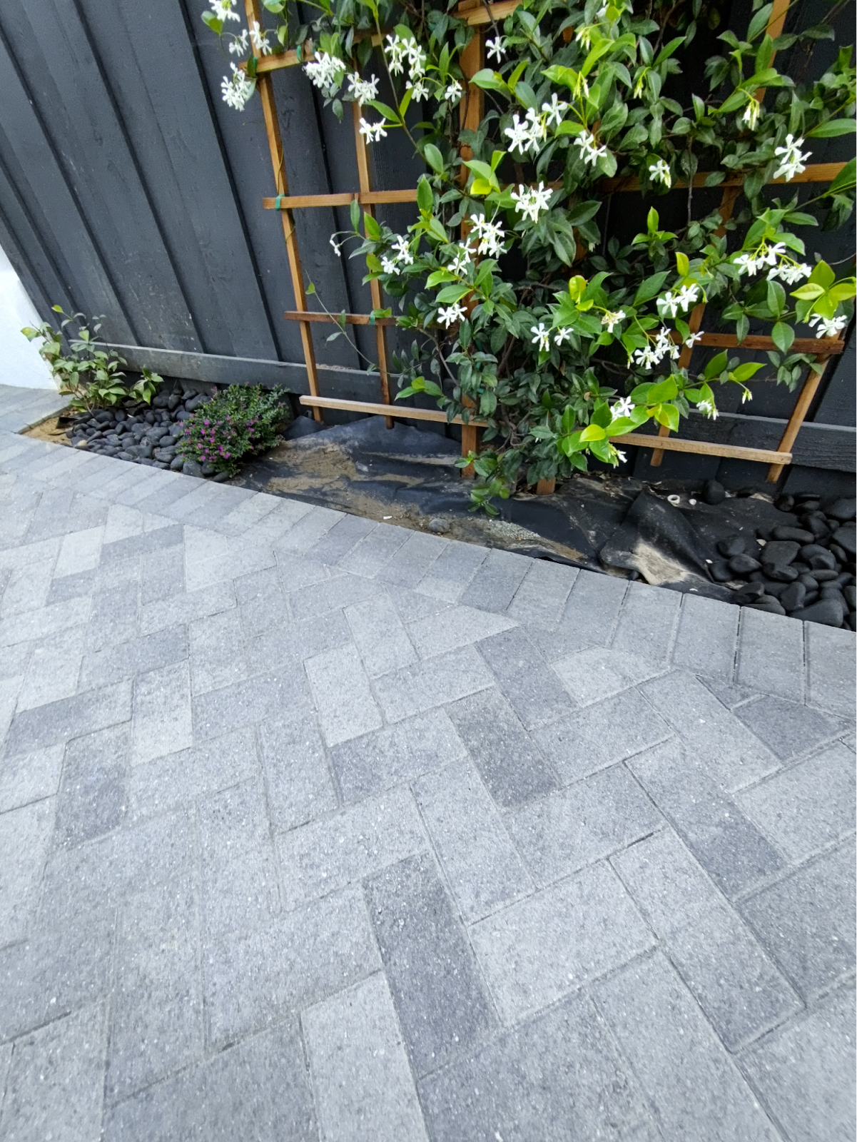 Property condition after self-mitigation during marketing period Dec 2023–Dec 2024