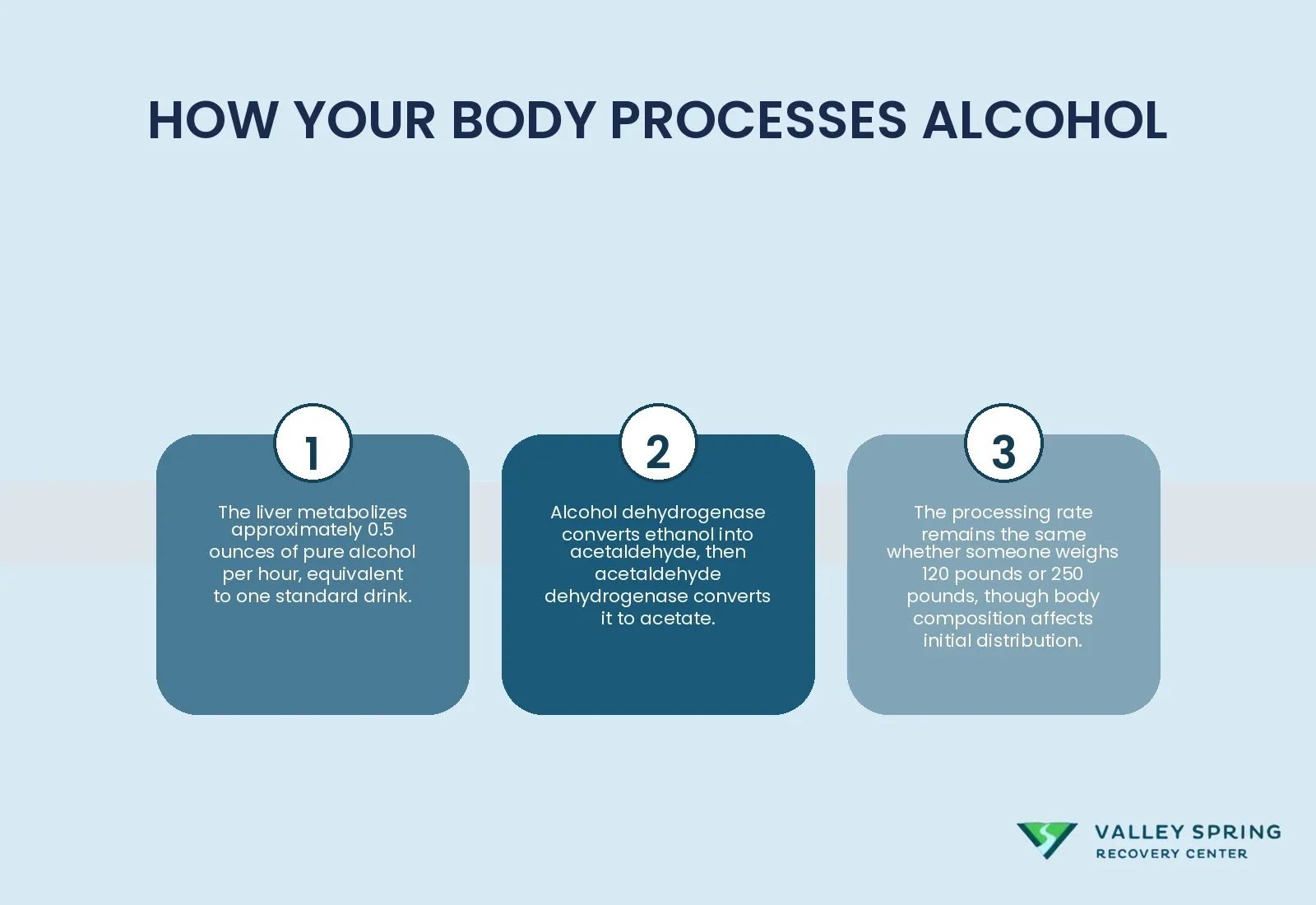 Overview Of The Liver'S Consistent Alcohol Metabolism Process And The Enzymatic Steps Involved In Breaking Down Alcohol