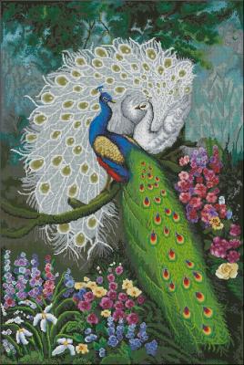 CMP 360079 Peacocks Couple