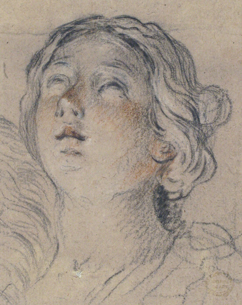 Female Head Upturned 16541719