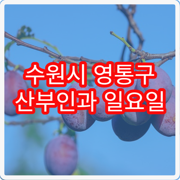 수원시 영통구 산부인과 일요일 진료 병원 여성건강 주말 진료 병원 안내