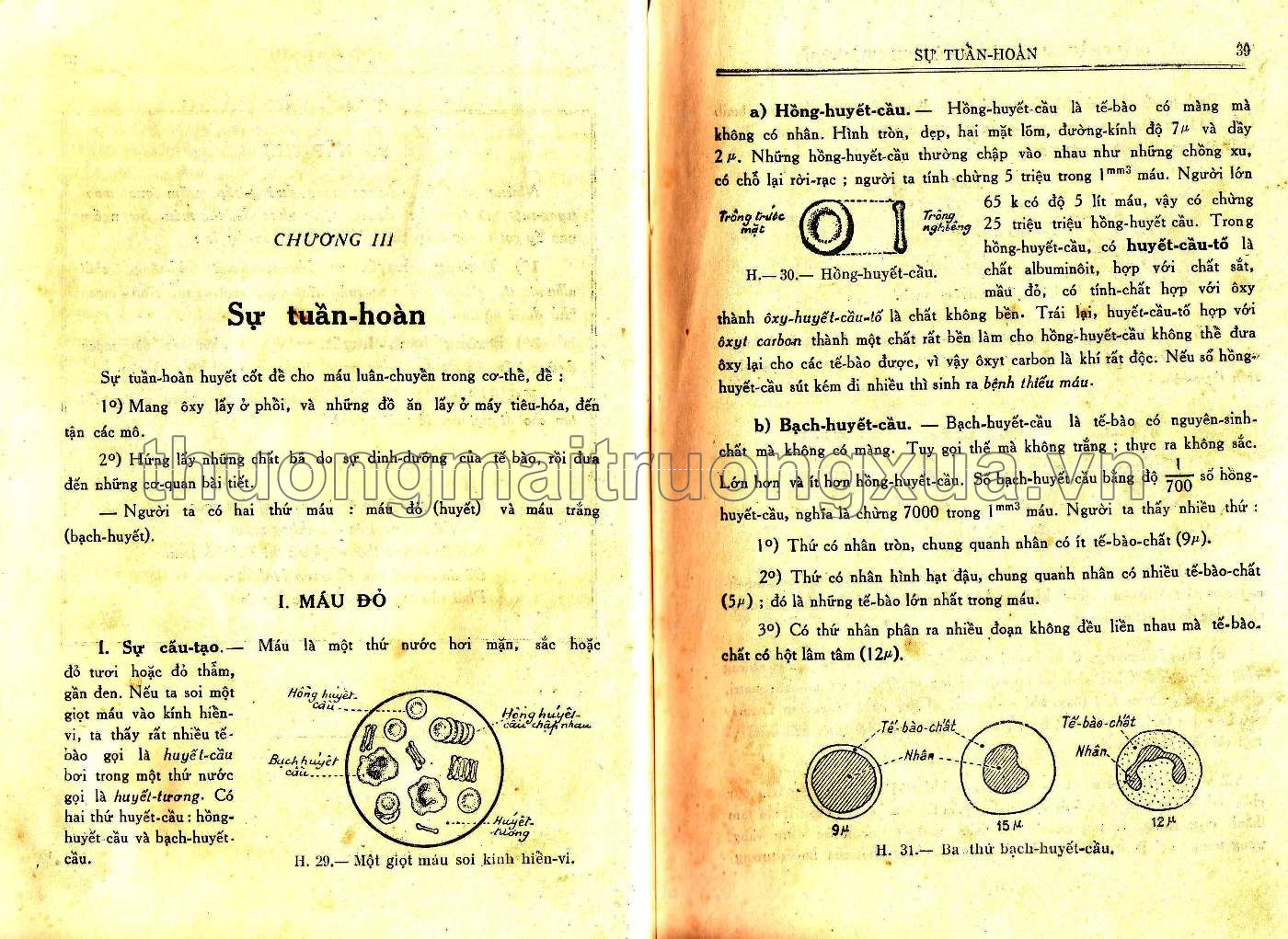 Vạn vật học lớp đệ tứ (1959) - Trang 20