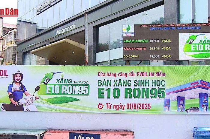 [Video] Giám sát, kiểm tra triển khai xăng sinh học E10 - Báo Nhân Dân