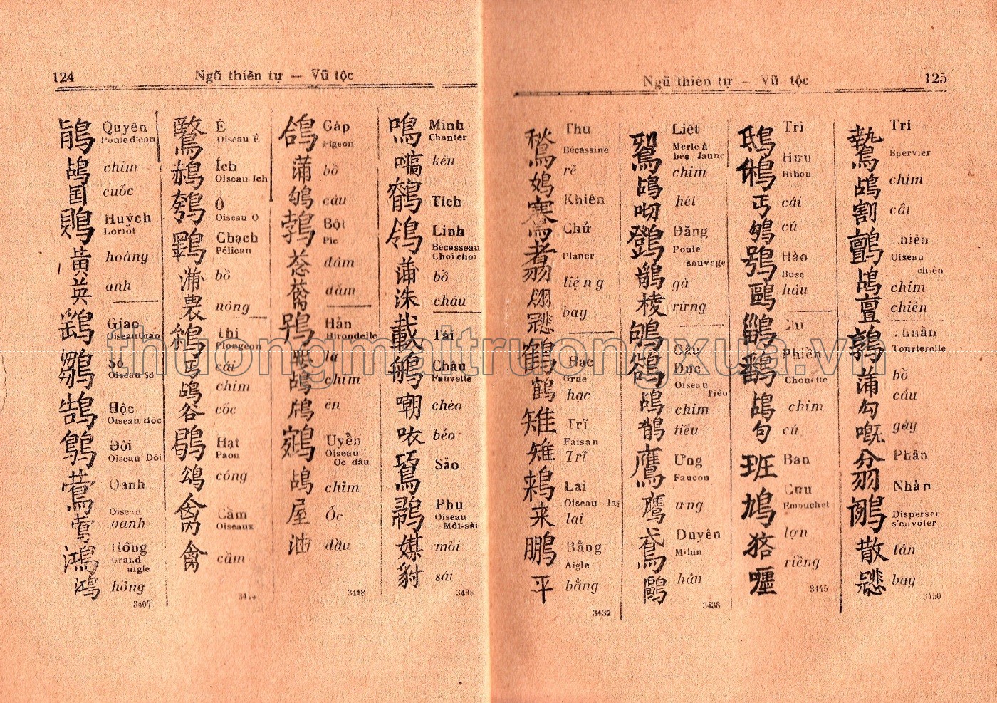 Ngũ thiên tự diễn âm (quyển 2, 1935) - Trang 16