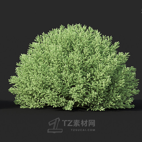 Maxtree - Plant Models Vol.60