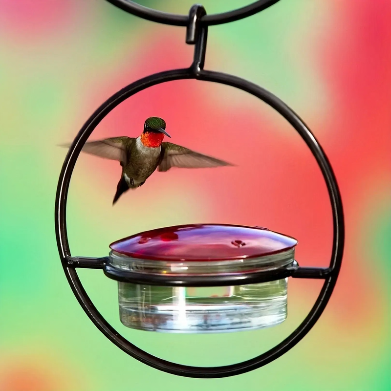Hanging feeder and water source for hummingbirds