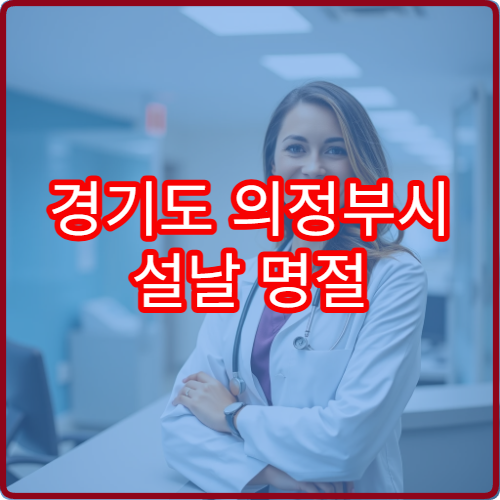 경기도 의정부시 설날 명절 가정의학과 연휴 진료 병원 발열·복통·만성질환 종합 진료 가능