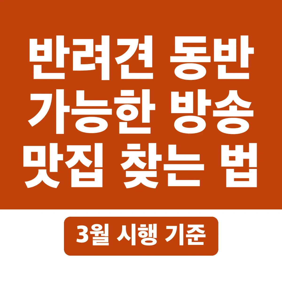 반려견 동반 가능한 방송 맛집 찾는 법, 3월 시행 기준