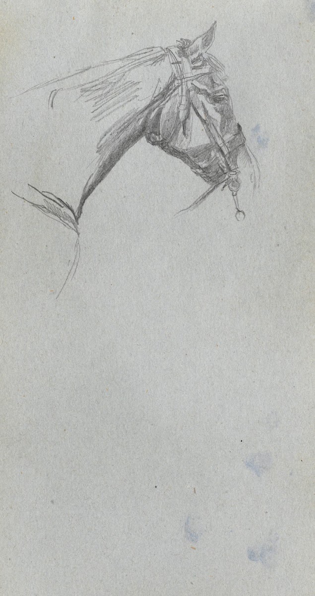Study of a Horse 3 1860s