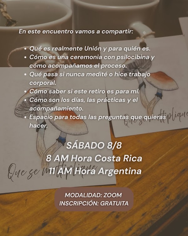 UNIÓN Retiro de Conexión Somática Micelial