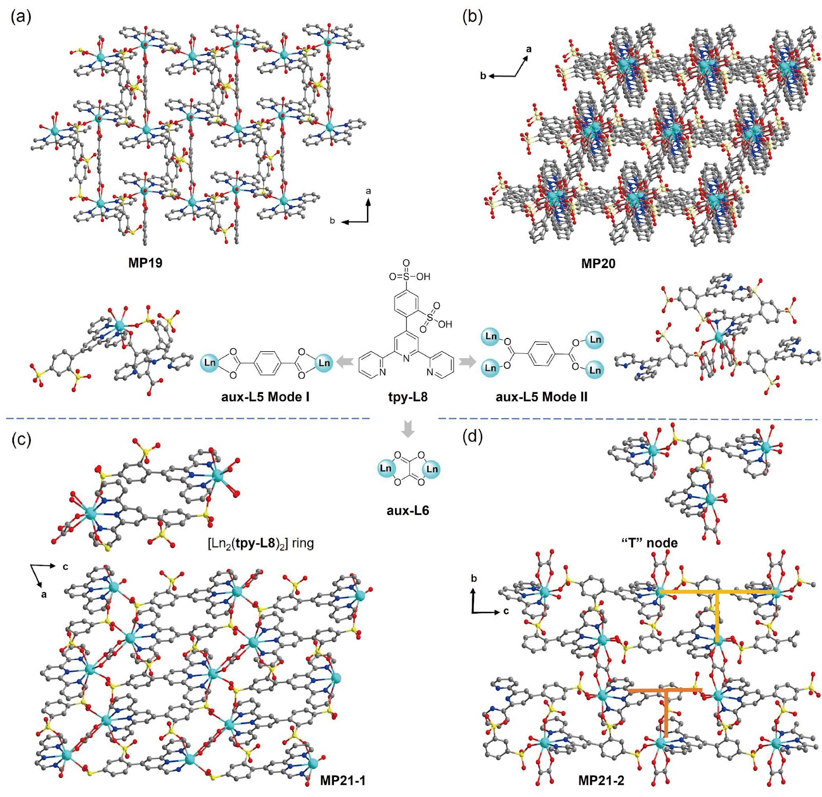 Terpyridine-lanthanide metallo-supramolecular polymers: structural diversity and emerging functional applications