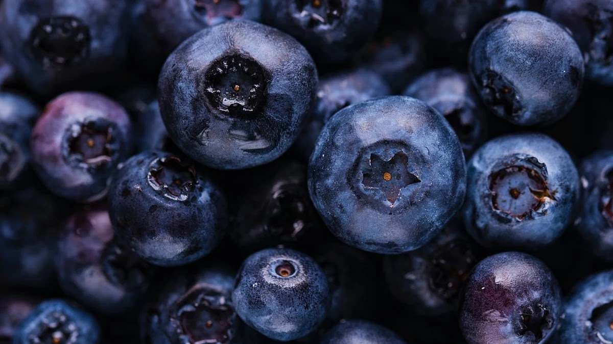 힙 자료구조와 힙 정렬 알고리즘 개념 시각화