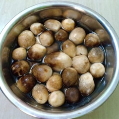 Đậu hủ trắng tán nhuyễn. Dùng miếng vải mùng vắt tàu hủ cho ráo nước. Đậu hủ ráo nước thì cho khoai lang vào cùng với tiêu giã + hạt nêm chay trộn đều tất cả với nhau.
