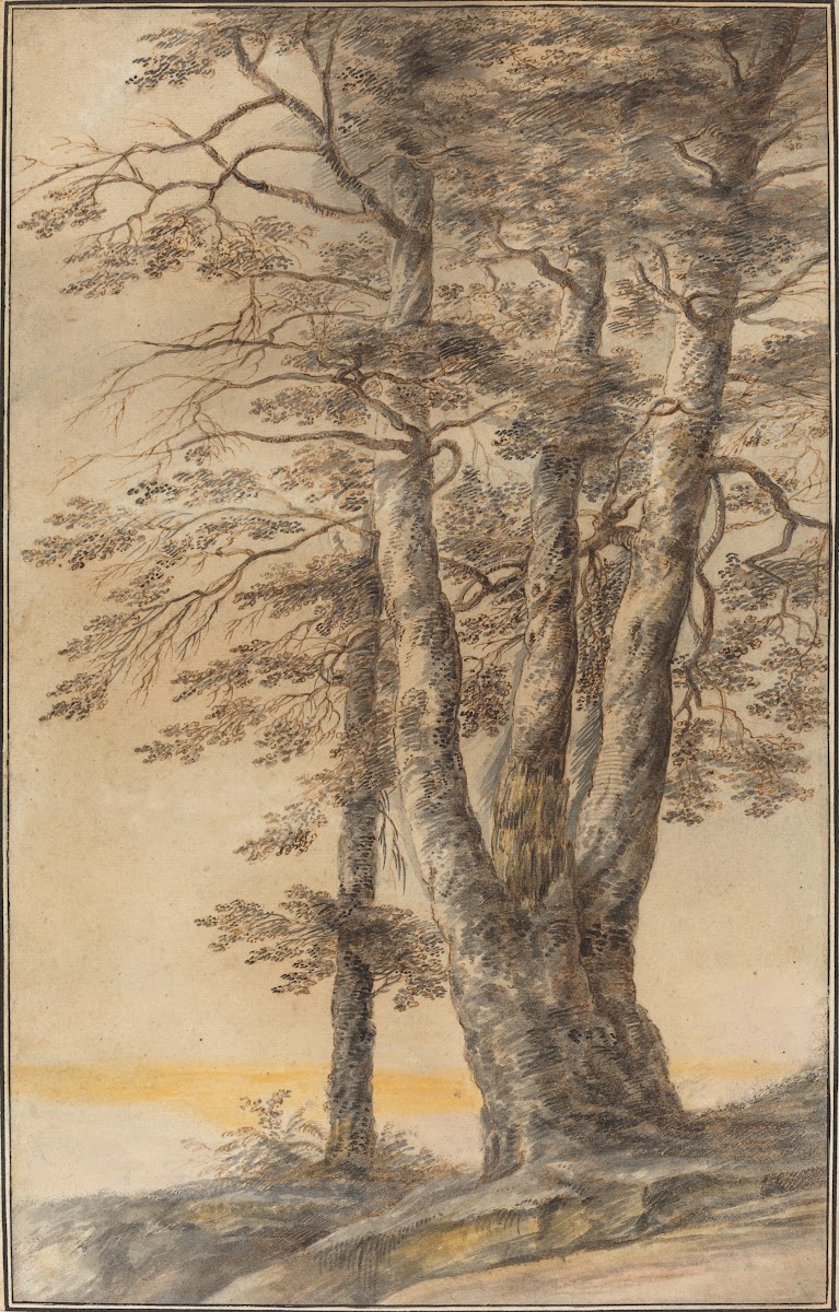 Study of Trees 1640s