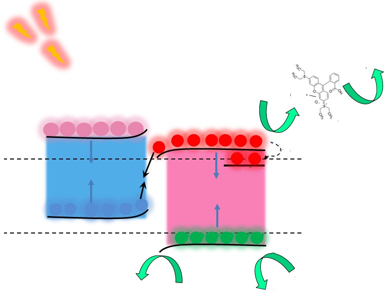 Enhanced visible light response and cytocompatibility of TiO2–TiC shell–core structured S-scheme photocatalyst