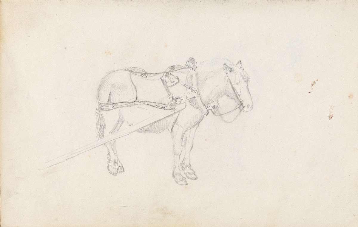 Horse Between 1844 and 1854