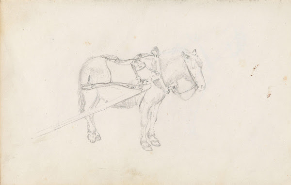 Horse Between 1844 and 1854