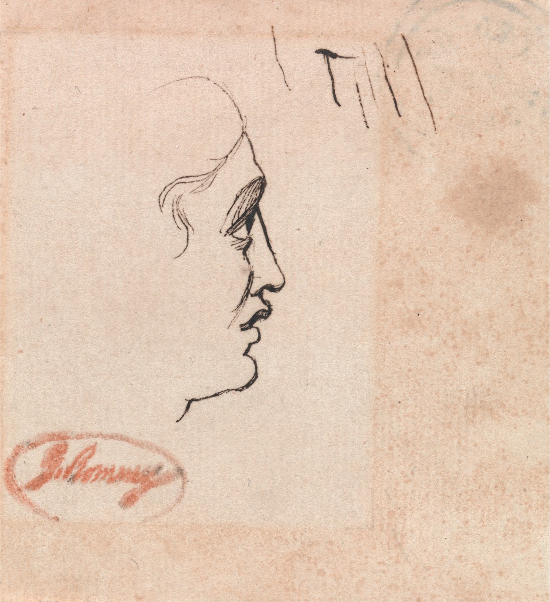 Head of a Youth