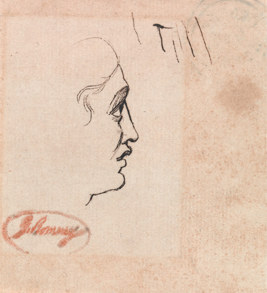 Head of a Youth
