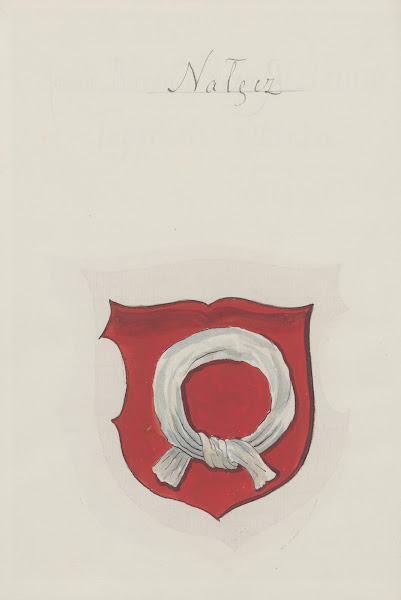 Arma Regni et baronum Poloniae ac M D Lithuaniae Pl025 1887